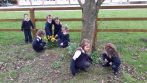 Spring-Aistear